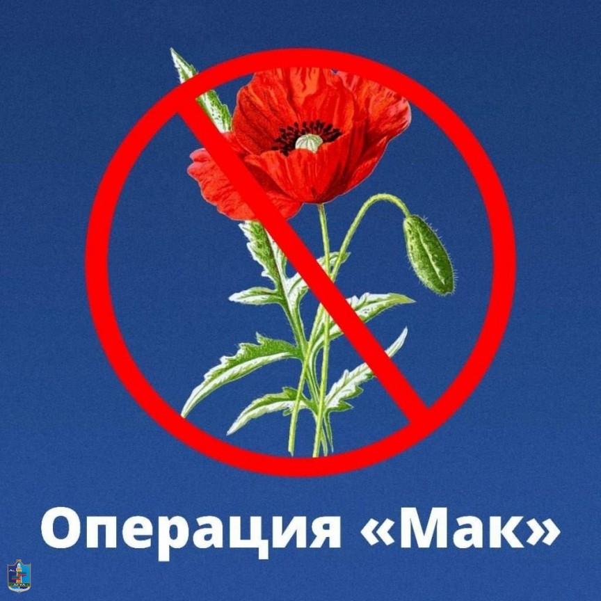 Внимание: операция «МАК - 2025».